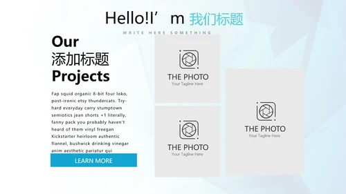 蓝色公司产品介绍宣传通用PPT动态模板