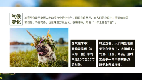 立春春景通用PPT模板