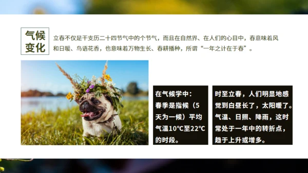 立春春景通用PPT模板