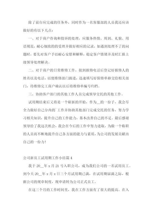 公司新员工试用期工作小结.docx