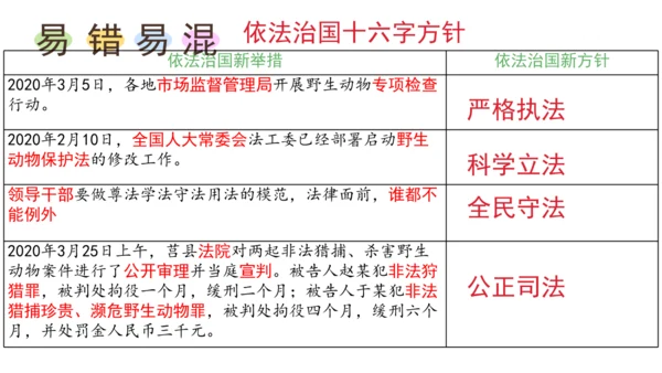 4.1《夯实法治基础》课件(共30张PPT)