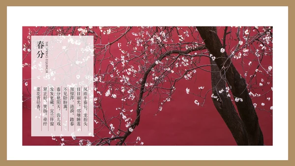 最美故宫中国风画册PPT