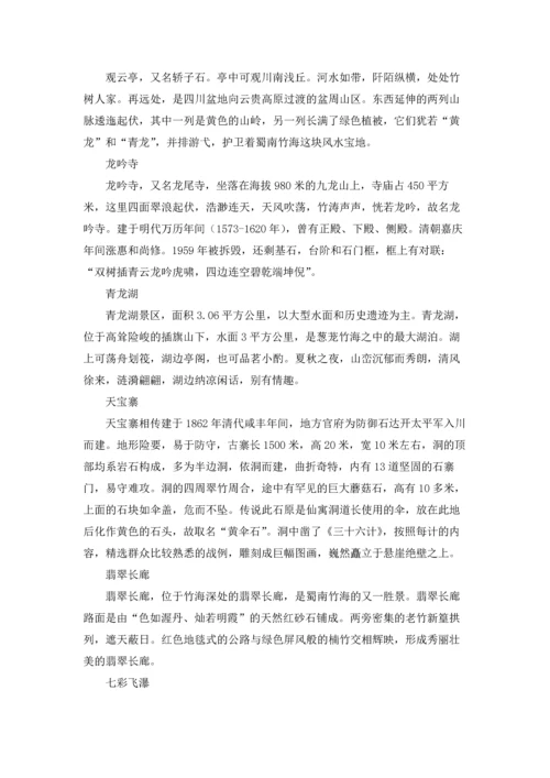 蜀南竹海内自驾游攻略.docx