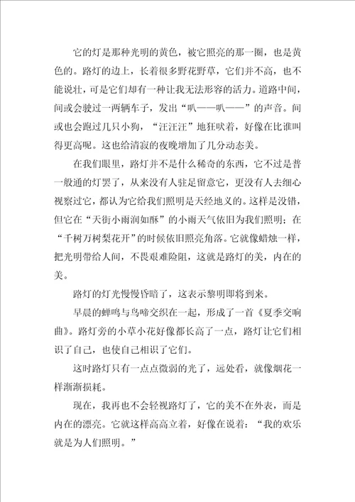 精选五年级灯的作文汇总九篇