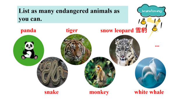 Module 6 Unit 2 The WWF is working hard to save th