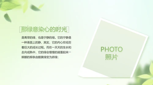 遇夏文艺小清新工作总结汇报动态PPT