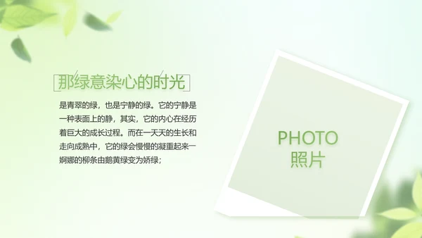 遇夏文艺小清新工作总结汇报动态PPT