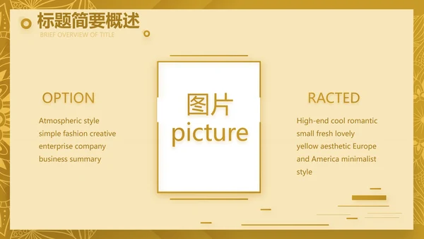 尊贵奢华创业融资计划书动态PPT