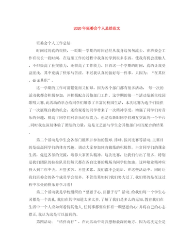 精编之年班委会个人总结范文.docx