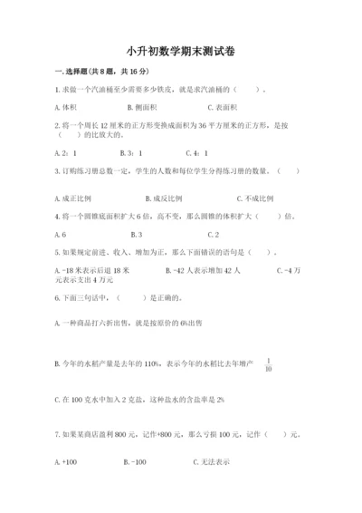 小升初数学期末测试卷【轻巧夺冠】.docx