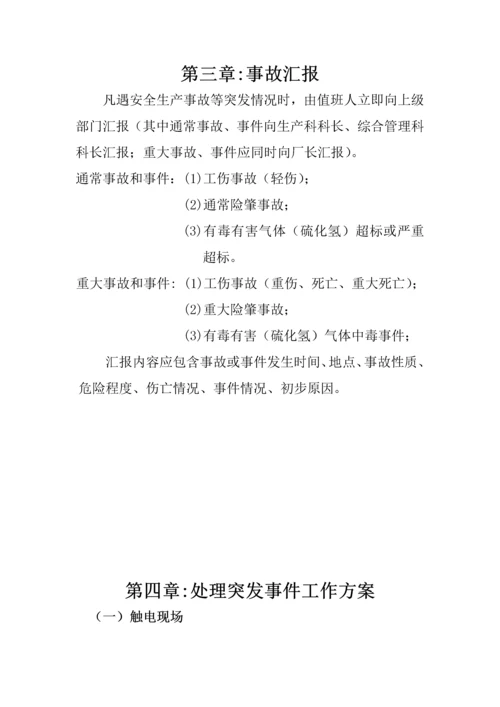 污水处理厂安全生产应急专题预案汇编.docx