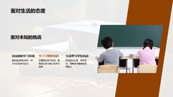 六年级的学习之旅