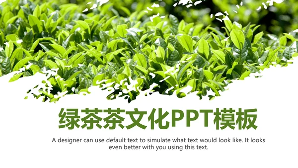 清新绿茶茶文化采茶茶道茶艺茶文化PPT模板