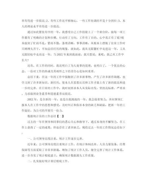 精编之数据统计员的工作参考总结范文.docx