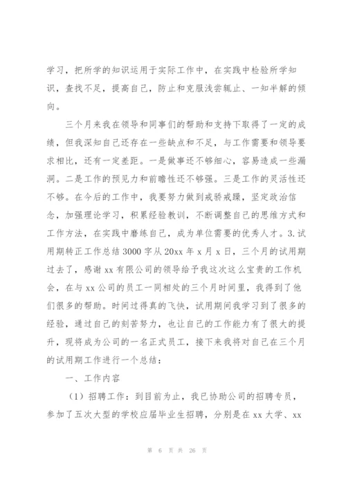 试用期转正工作总结3000字（10篇）.docx