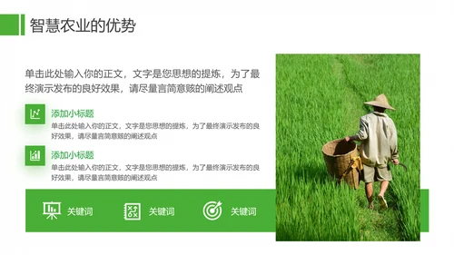 农业发展项目计划书通用PPT模板