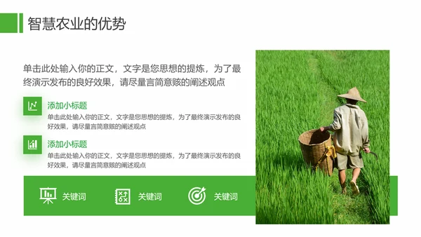 农业发展项目计划书通用PPT模板