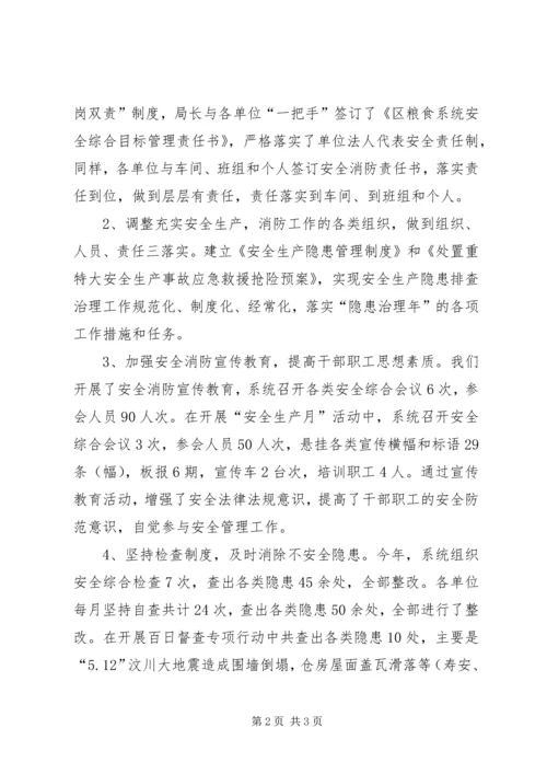 粮食局安全生产总结及工作计划.docx