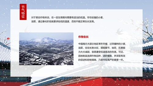 二十四节气大寒教学介绍PPT课件