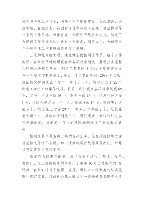 风险经理述职报告.docx