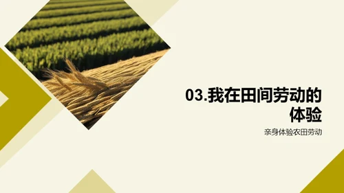 农业劳动之美