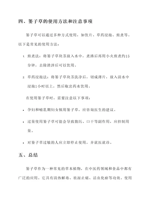 篓子草的作用和功效