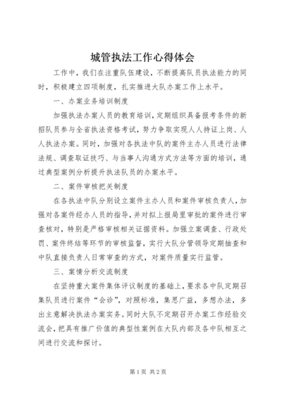 城管执法工作心得体会 (4).docx