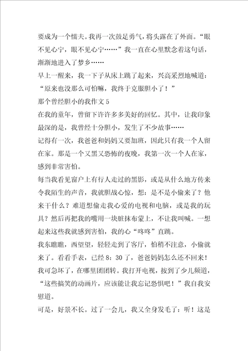 那个曾经胆小的我作文