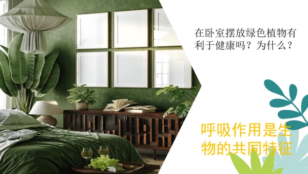3.5.2 绿色植物的呼吸作用-2023-2024学年七年级生物上册优质课件（人教版）(共18张PP