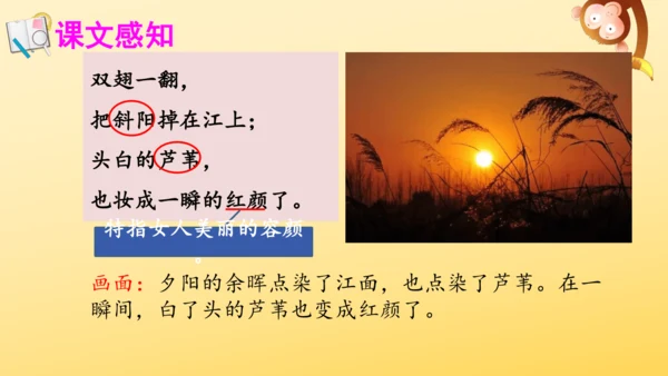 3 现代诗二首  课件