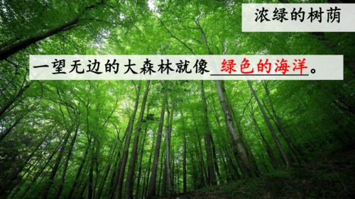 23祖先的摇篮（课件）