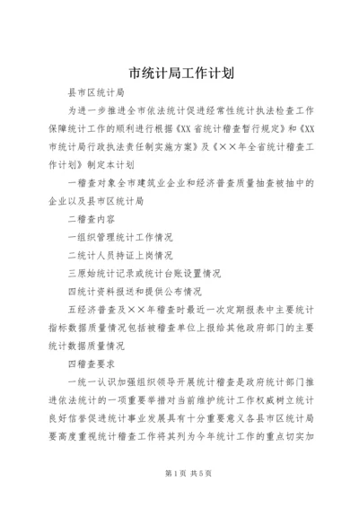 市统计局工作计划.docx