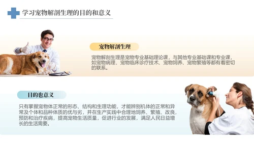 实拍风宠物解剖生理宠物解剖生理讲座PPT