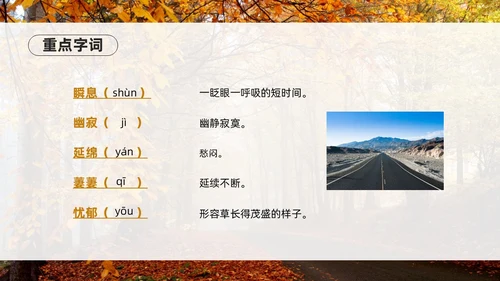 橙色简约实拍未选择的路PPT七年级语文下册PPT模板