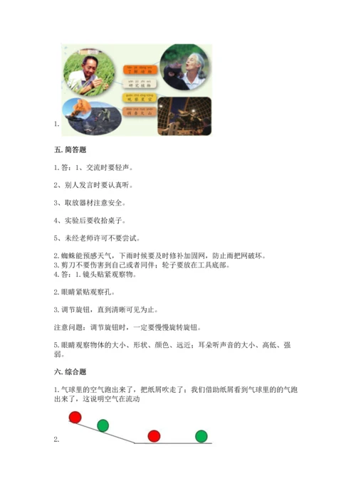 苏教版一年级上册科学 期末测试卷（培优）.docx