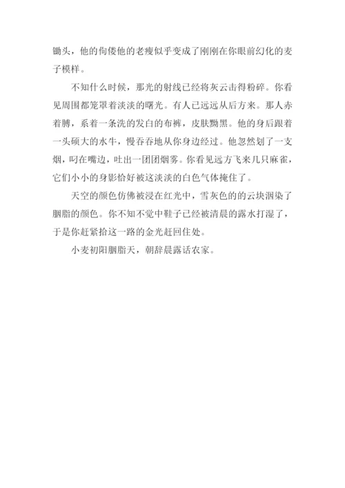 初阳朝露忆农家作文.docx