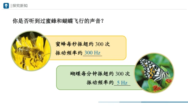人教版八年级物理上册 2.2 声音的特性 课件（28页ppt）