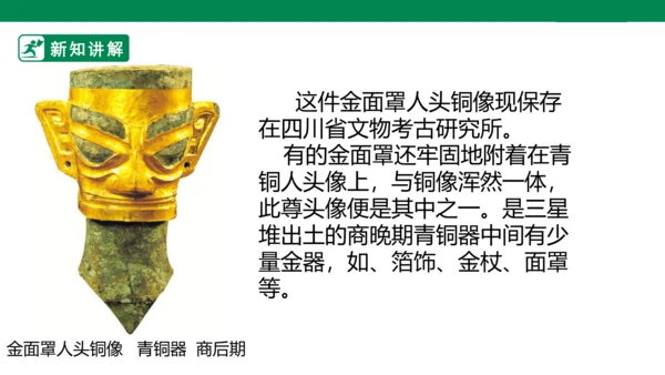 第十四课《我的收藏卡》课件