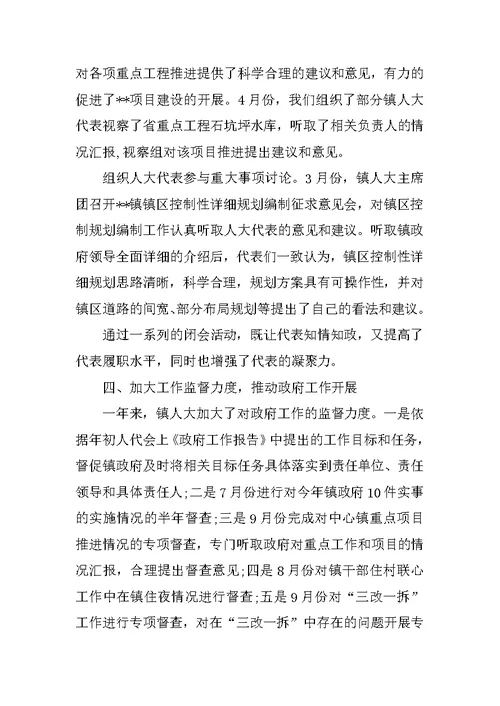 乡镇人大工作总结3000字