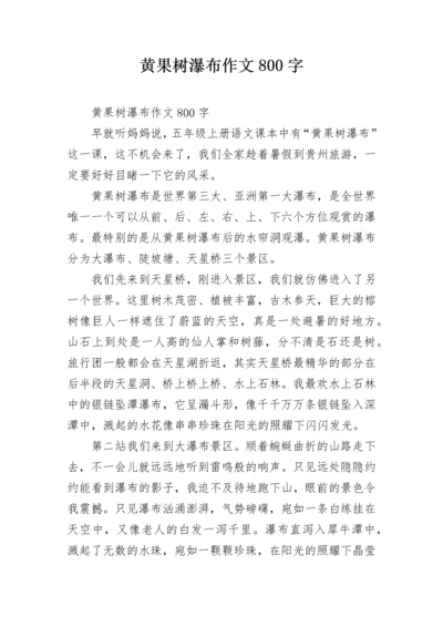 黄果树瀑布作文800字.docx