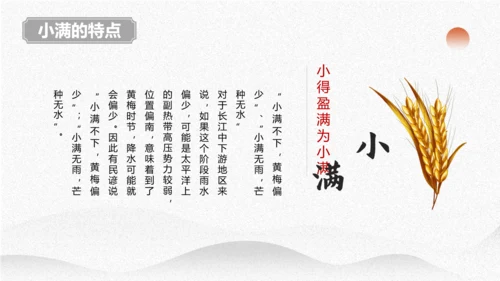 小满节气介绍PPT模板