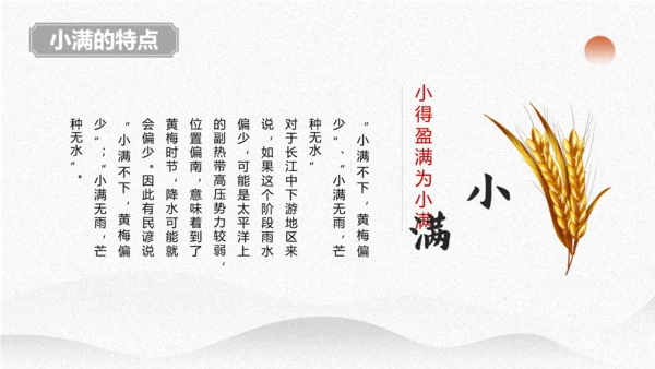 小满节气介绍PPT模板