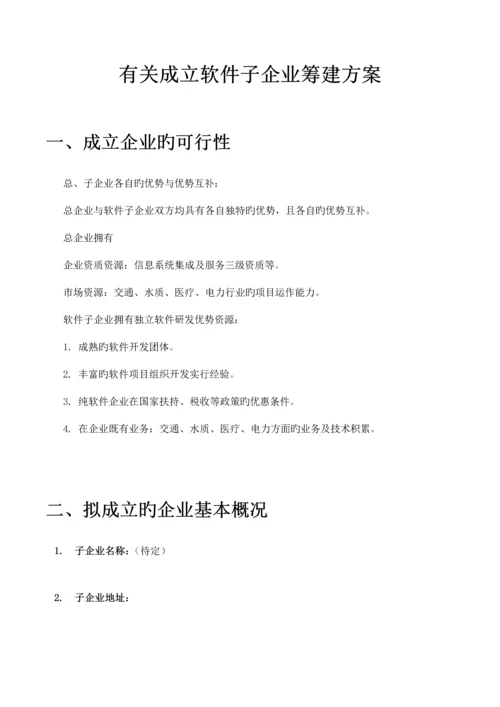 软件子公司筹建方案模板.docx