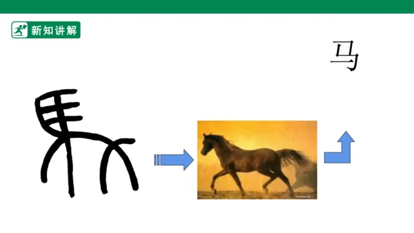 第十二课《汉字的联想》课件