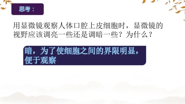人教版（2024）七年级上册1.2.3动物细胞 课件(共27张PPT)