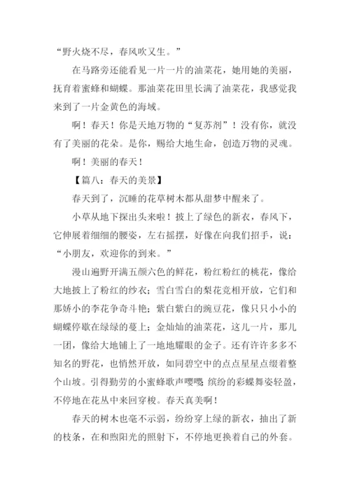 春天的景色作文350字-1.docx