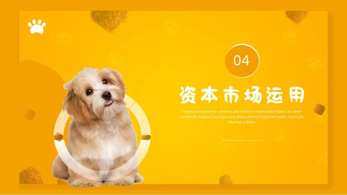 橙色简约宠物行业商业计划书PPT