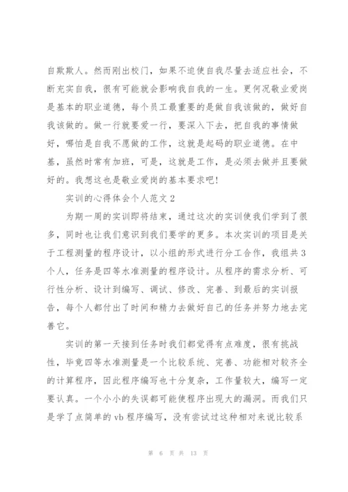实训的心得体会个人范文五篇.docx