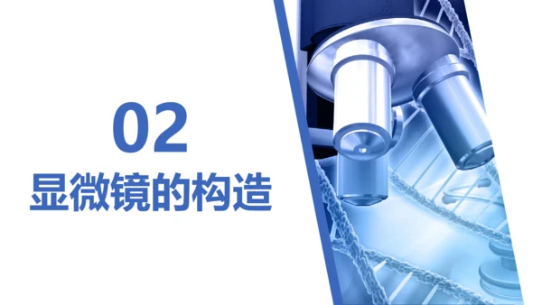 【核心素养目标】2.1.1《练习使用显微镜》课件(共42张PPT)