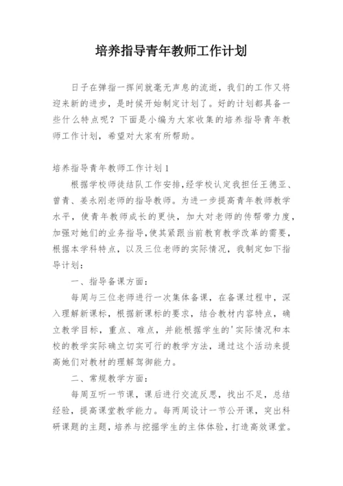 培养指导青年教师工作计划.docx